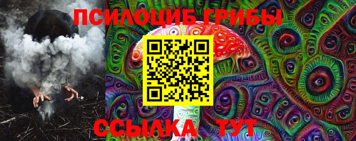 Псилоцибиновые грибы Cubensis Королёв