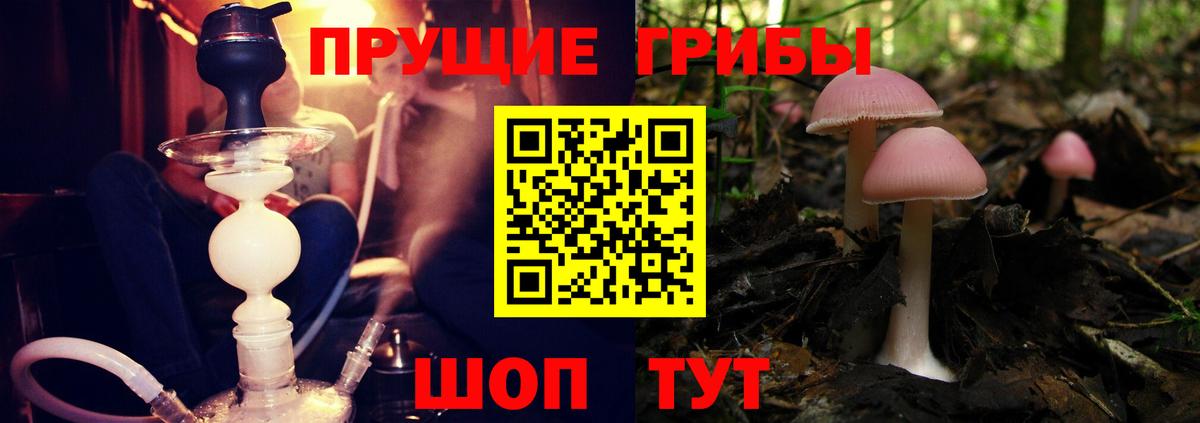 Галлюциногенные грибы Magic Shrooms  Вход с VPN  Королёв  Галлюциногенные грибы Psilocybe 